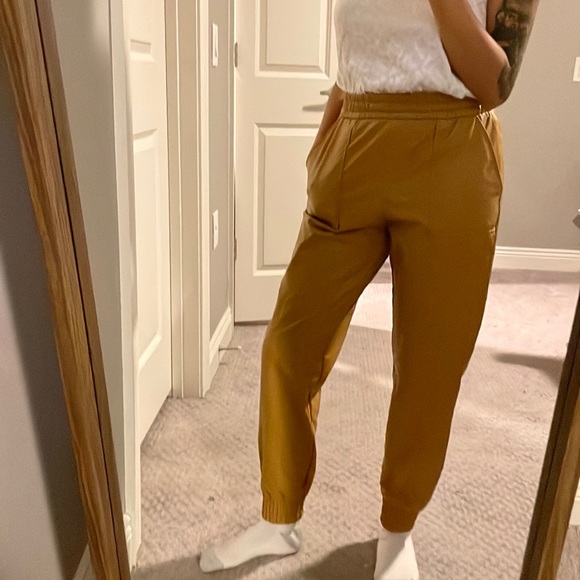 Mustard Express Vinyl Joggers - Picture 1 of 3